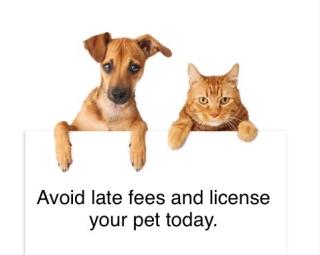 Avoid late fees and license your pet today.